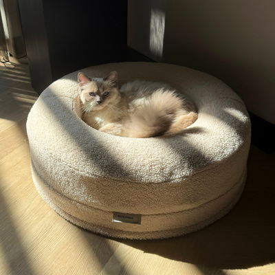 Kattenmand: Goedkoop of duurkoop?