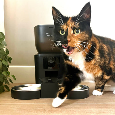 Genießen Sie einen unbeschwerten Urlaub mit diesen 7 Tipps!