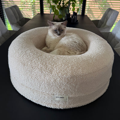 Hoe herken je artrose bij je kat (en wat kun je doen?)