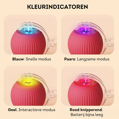 Cadeau 3: Interactief, oplaadbaar speelgoed