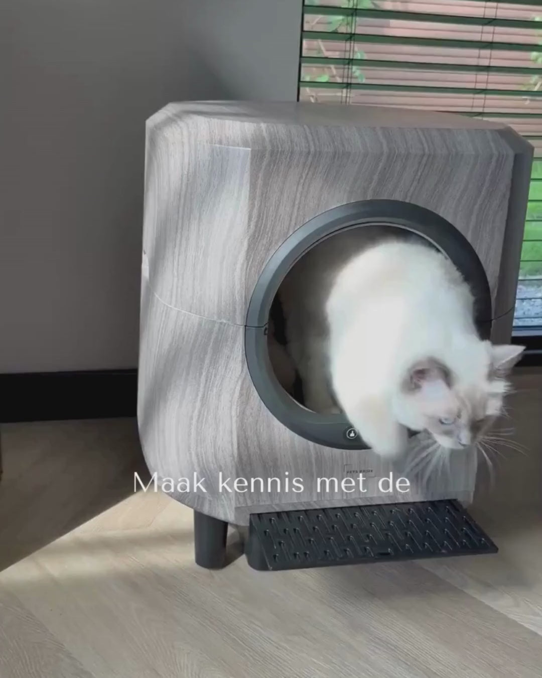 Slimme zelfreinigende kattenbak - Houtlook